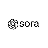 Sora Video Tool
